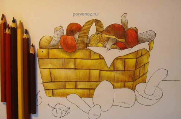 Рисование корзинка с грибами