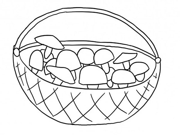 Рисование грибы в подготовительной группе