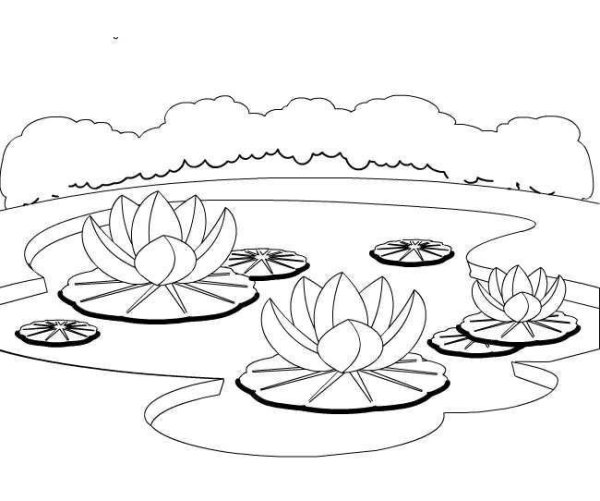 Пруд раскраска для детей