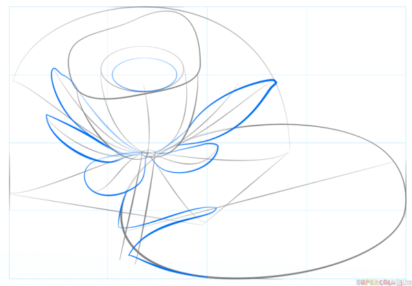 Кувшинка карандашом