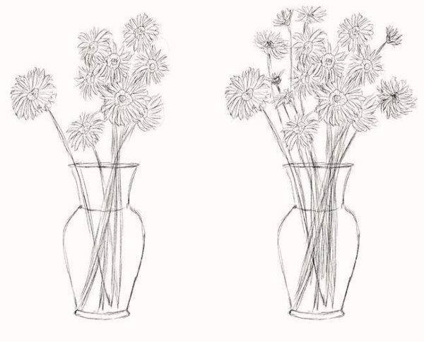 Натюрморт цветы карандашом