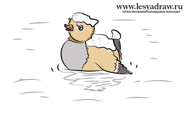 Серая шейка рисунок карандашом