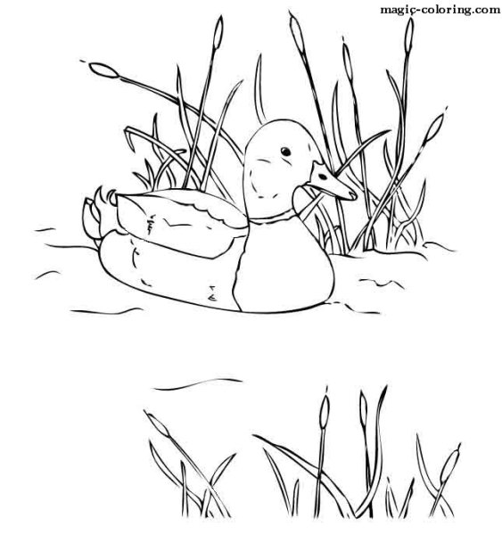 Аппликация серая шейка