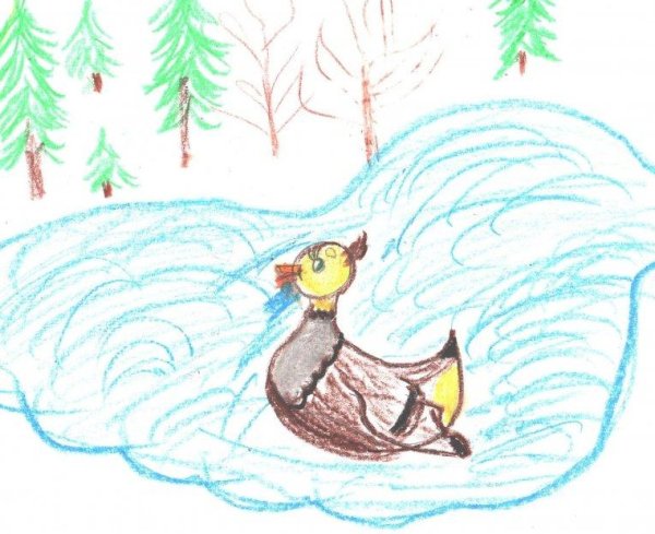 Раскраска сказки серая шейка мамин Сибиряк