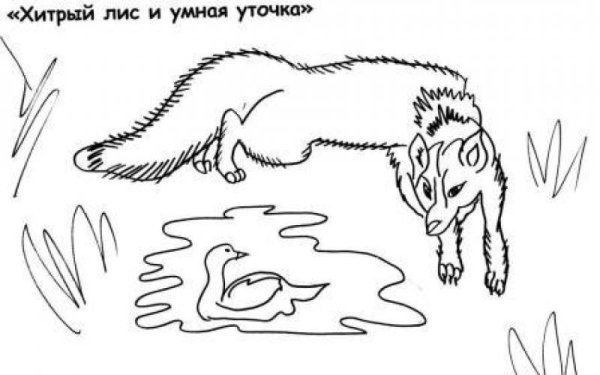 Утка на воде карандашом