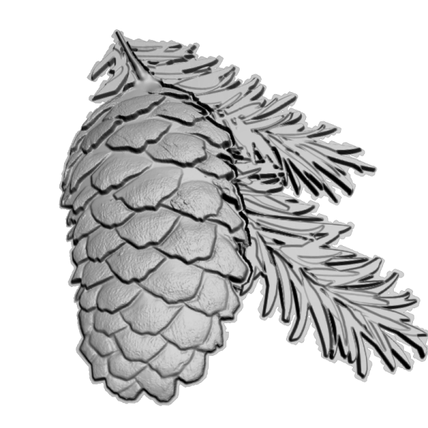 Кедровая шишка 3д модель