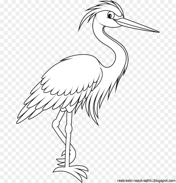 Цапля раскраска