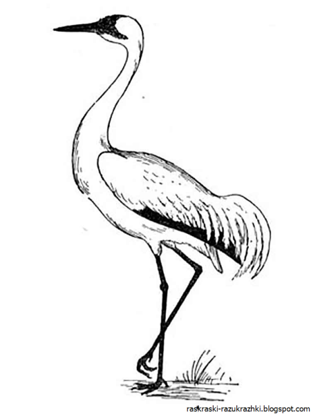 Детские рисунки журавлей