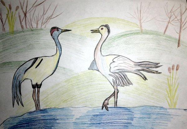 Журавль рисунок карандашом