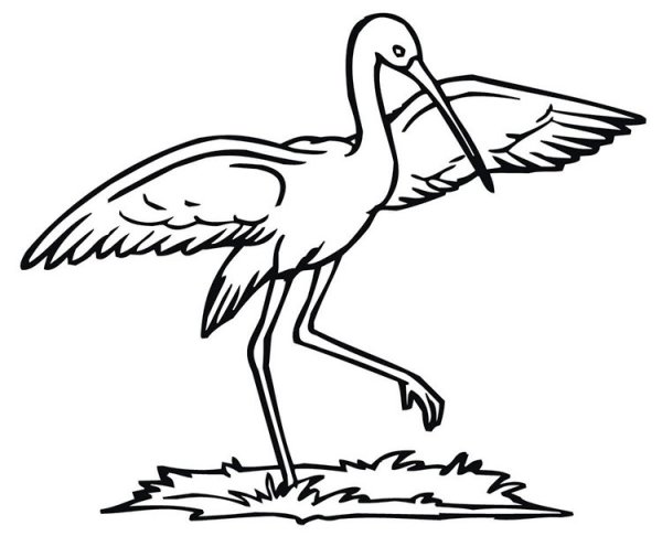 Поэтапное рисование аиста для детей