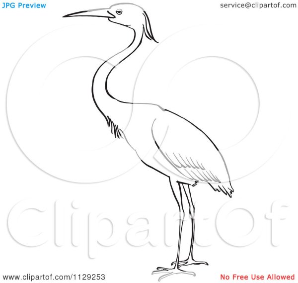 Аист раскраска