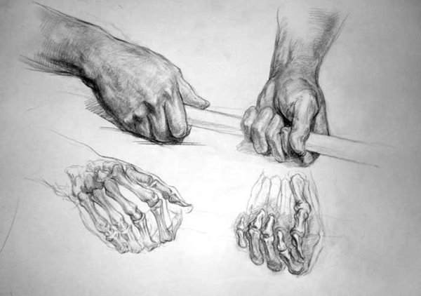 Академический рисунок кисти рук