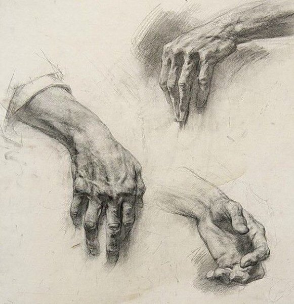 Академические зарисовки рук