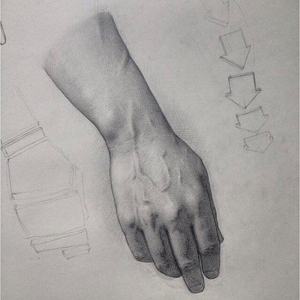 Академический рисунок руки карандашом