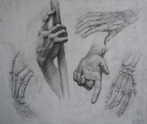 Наброски рук академические