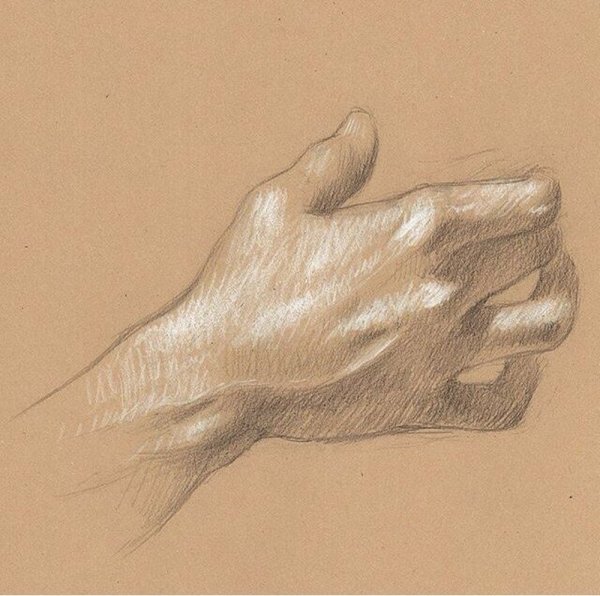 Кисти рук Графика