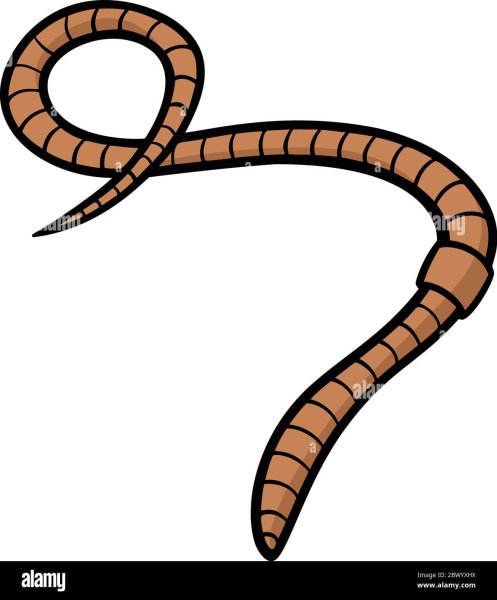 Червяк раскраска