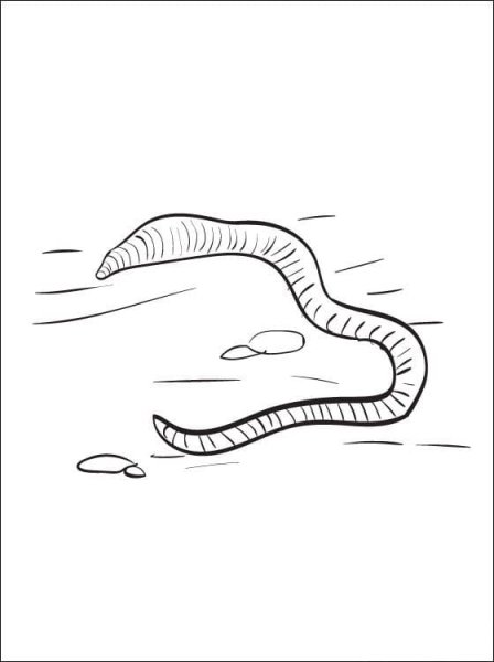 Червь раскраска