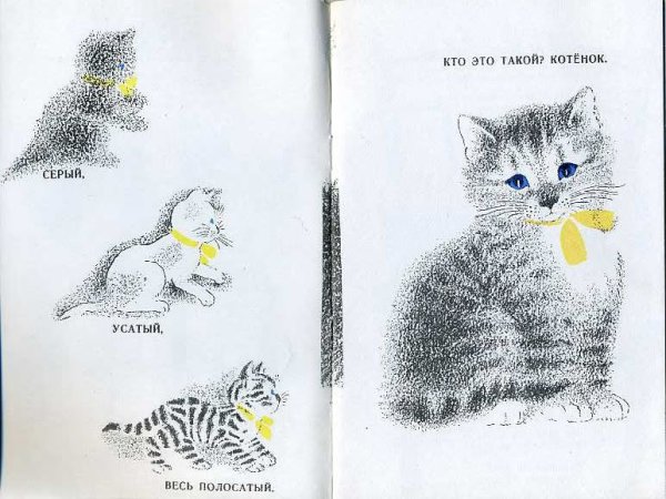 Усатый-полосатый Маршак иллюстрации