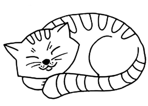 Раскраска кошка полосатая