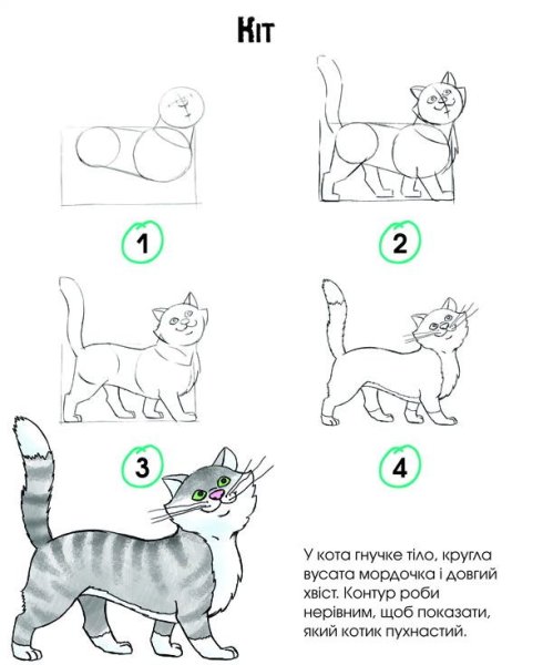 Схема рисования кошки в старшей группе