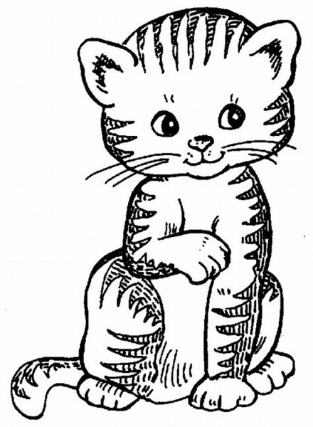 Полосатая кошка раскраска для детей