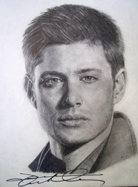 Динвенчестрер рисунок