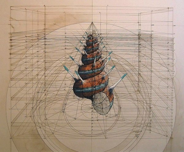 Чертежи Рафаэля Араужо