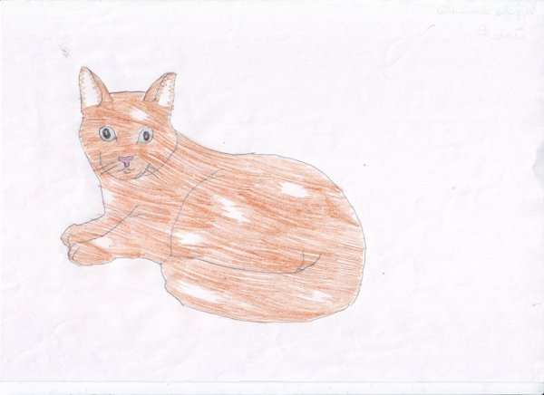 Кот ворюга Сладков