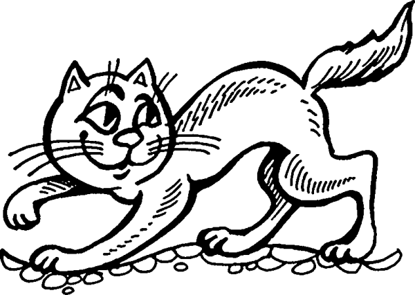 Кот ворюга рисунок карандашом