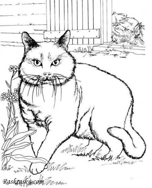 Паустовский к.г. "кот-ворюга"