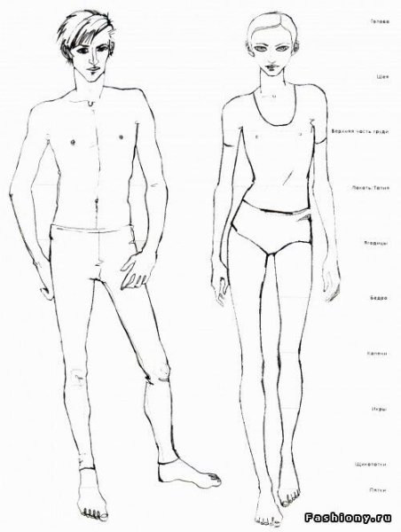 Мужская и женская фигура для рисования