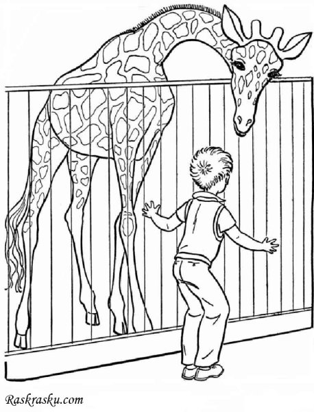 Раскраски животных зоопарка для детей