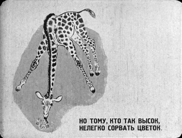 Раскраски животных зоопарка для детей