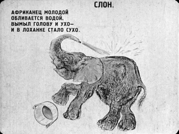 Раскраска животные зоопарка медведь для детей