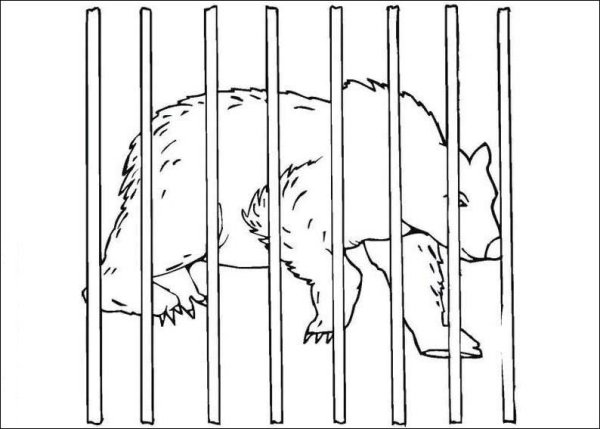 Зоопарк раскраска для детей