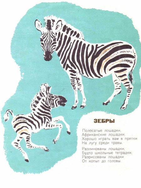 Маршак слон