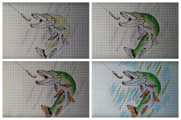 Схема рисования щуки