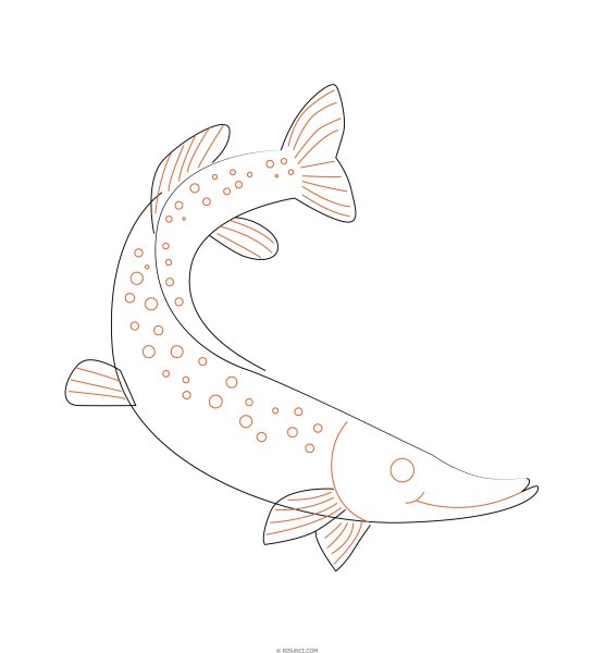 Рыбалка карандашом