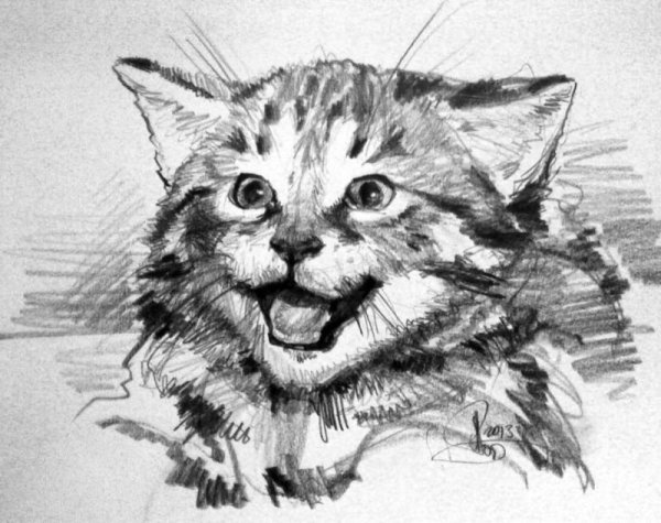 Академическая штриховка натюрморты