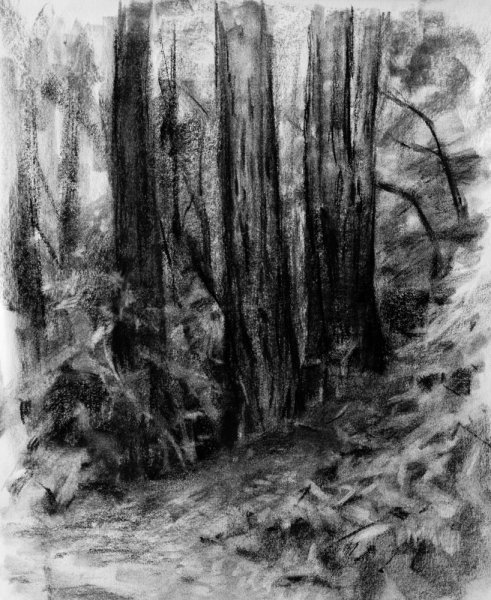 Картины графитным карандашом