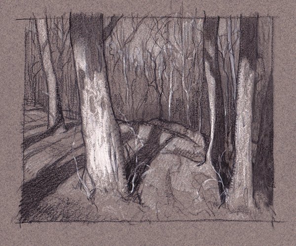 Выразительные возможности графитного карандаша