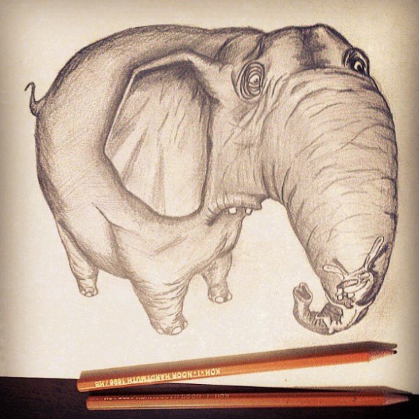 Слон для срисовки