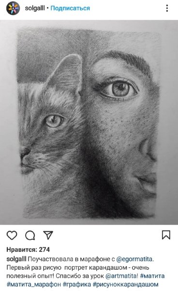 Сертификат Матита