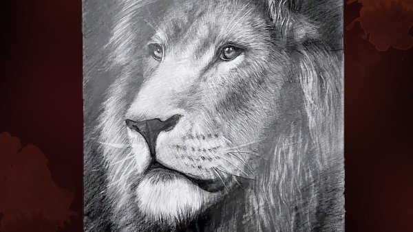 Рисунки карандашом животные