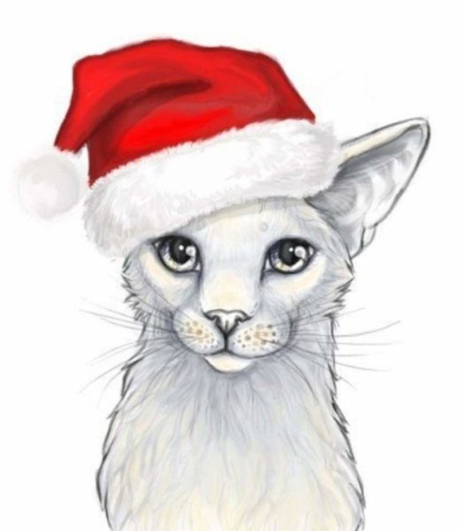 Новогодний кот мультяшный