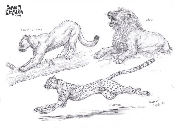 Пантера карандашом