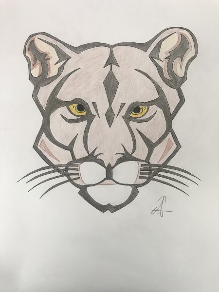 Пума эскиз