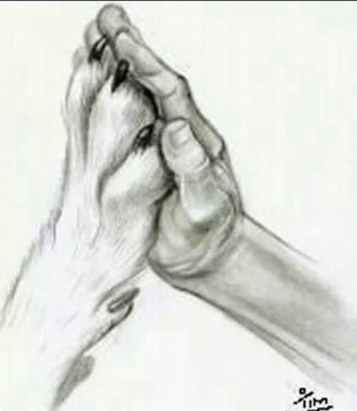 Рука и лапа рисунок