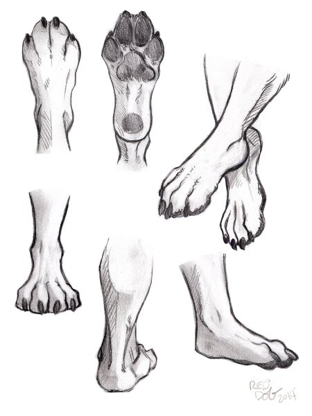 Павс референс